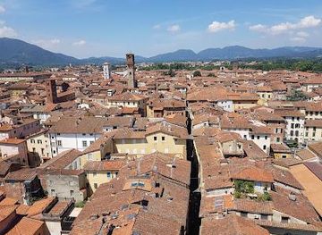 italy/pisa/landmark/guinigi-tower