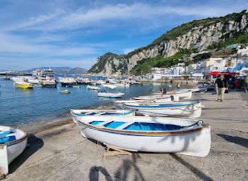 italy/capri/landmark/capri-whales