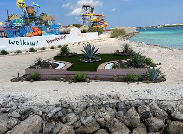 aruba/mangel-halto/landmark/sea-trek-underwater-helmet-walk-at-de-palm-island