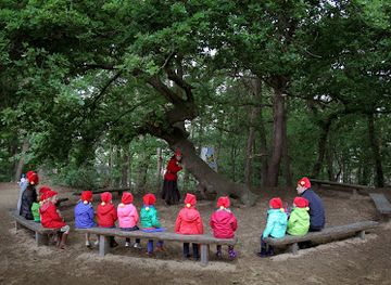 belgium/antwerpse-kempen/landmark/kabouterberg