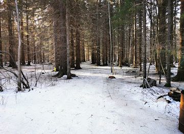 sweden/gastrikland/landmark/judgments-stones