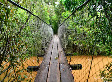 Peterson Creek – Wildlife & Botanical Walking Track