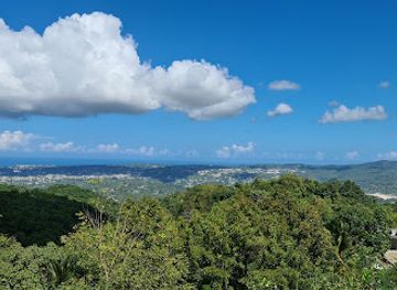 jamaica/south-coast/landmark/ahhh-ras-natango-gallery-and-garden