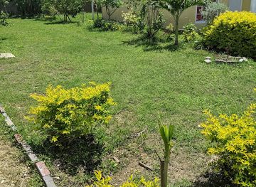 jamaica/savanna-la-mar/landmark/savannah-park-manor