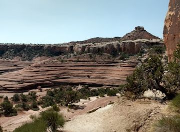utah/canyonlands/landmark/mill-canyon-dinosaur-tracksite