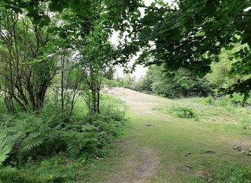 ireland/county-kildare/landmark/mullaghreelan-rath