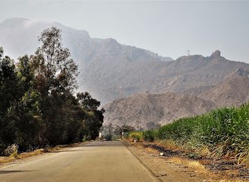 peru/lambayeque/landmark/pampa-grande