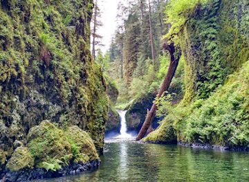 oregon/hood-river-county/landmark/eagle-creek-trailhead