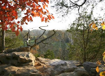 indiana/yellowwood-state-forest/landmark/visit-bloomington