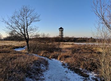 belgium/hautes-fagnes/landmark/fagne-de-malchamps