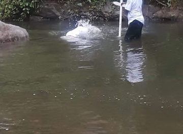 jamaica/st-thomas-lowlands/landmark/wag-water-river