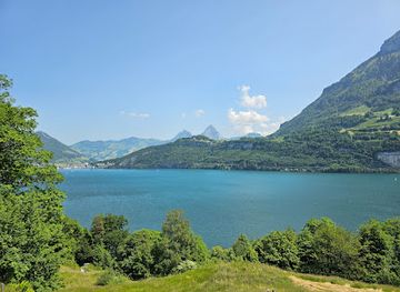 switzerland/uri/landmark/rutli