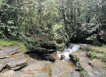 colombia/putumayo/landmark/canalendre