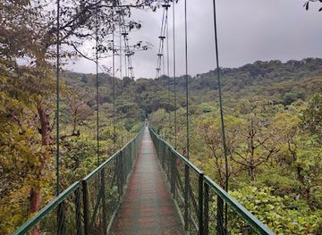 costa-rica/monteverde-cloud-forest/landmark/the-original-canopy-tour-monteverde