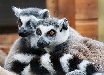 ireland/county-donegal/landmark/tropical-world