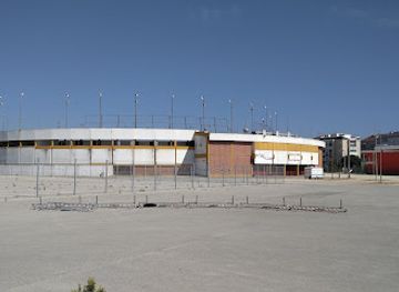 portugal/ribatejo/landmark/monumento-a-celestino-graca