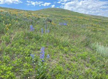 utah/salt-lake-city/landmark/meridian-peak