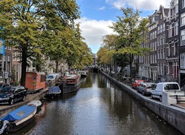netherlands/amsterdam/landmark/electric-ladyland-museum-of-fluorescent-art