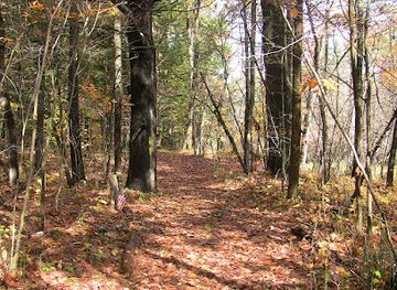 vermont/washington-county/landmark/historic-crown-point-road