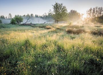 belgium/antwerpse-kempen/landmark/bezoekerscentrum-grote-netewoud