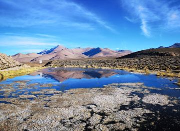 chile/central-valley/landmark/parque-nacional-lauca