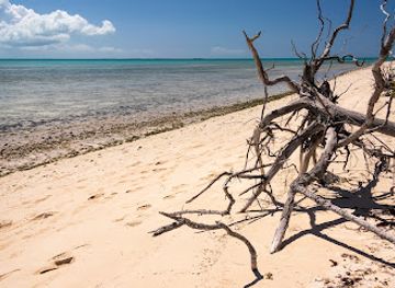 turks-and-caicos-islands/west-caicos/landmark/bonefish-point