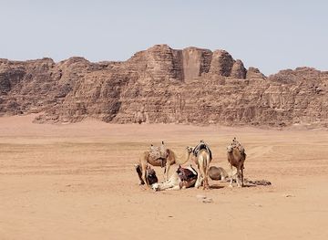 jordan/wadi-hidan/landmark/wadi-rum-jordan
