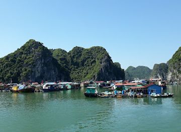 vietnam/cat-ba-island/landmark/cai-beo-floating-village