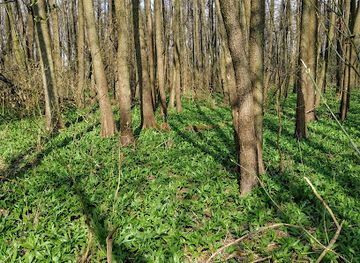 czechia/brno/brno-cernovice/landmark/soukromy-bunkr-u-tri-muzu