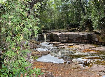suriname/tafelberg-nature-reserve/landmark/tafelberg