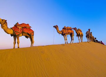 united-arab-emirates/dubai-desert-conservation-reserve/landmark/desert-safari-dubai-vip-desert-safari-roar-adventure-tourism-l-l-c