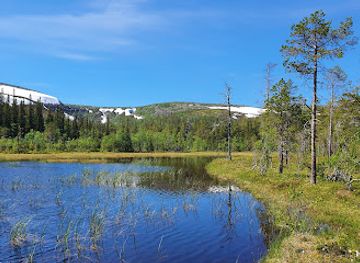 sweden/dalarna/landmark/njupeskar-waterfall