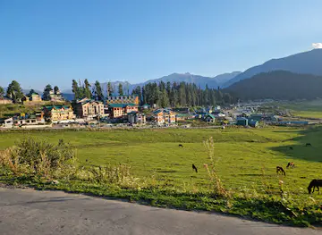 Gulmarg Wildlife Sanctuary
