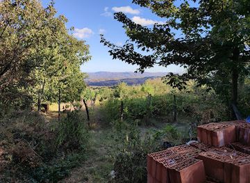 georgia/kakheti/landmark/cherkeza-s-zedashe