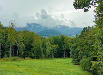 poland/silesian-beskids/landmark/forest-park-of-surprises