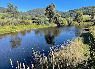 australia/tasmanian-wilderness/landmark/wings-wildlife-park