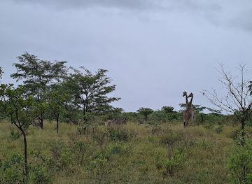 south-africa/bushveld/landmark/madikela-private-game-reserve