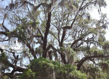 south-carolina/lowcountry/landmark/lowcountry-museum