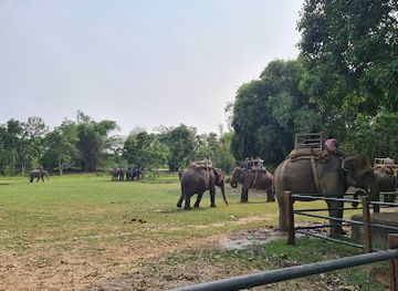 nepal/chitwan-national-park/landmark/elephant-safari-ride-point-a
