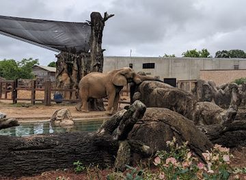 tennessee/knoxville/landmark/zoo-knoxville