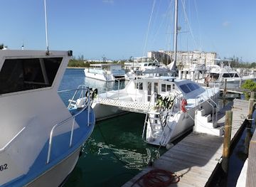 the-bahamas/grand-bahama-island/landmark/reef-tours