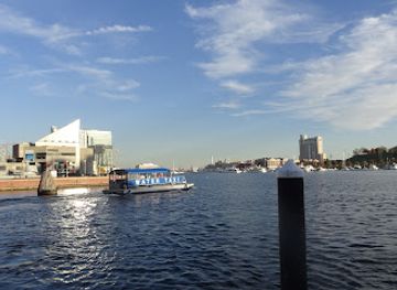 maryland/baltimore/landmark/baltimore-harbor
