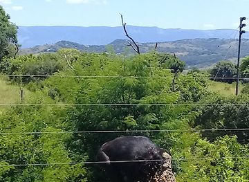 south-africa/lowveld/landmark/chimp-eden