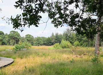 netherlands/veluwe-national-park/landmark/museonder