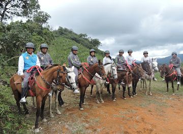 colombia/andean-region/landmark/corporacion-de-turismo-y-conservacion-los-andakies