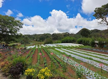 philippines/davao-region/landmark/bemwa-farm