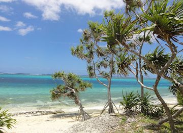 vanuatu/anatom-aneityum/landmark/mystery-island-tours