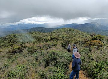 sri-lanka/horton-plains-national-park/landmark/thotupola-mountain-trail-head