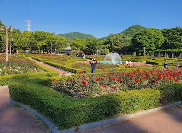 south-korea/incheon/landmark/incheon-grand-park-rose-garden