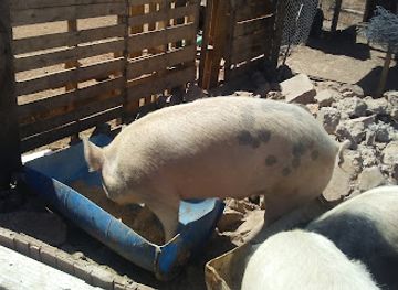 new-mexico/las-cruces/landmark/mesa-heights-park